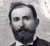 Pardo Vito